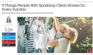 Cleaning article image