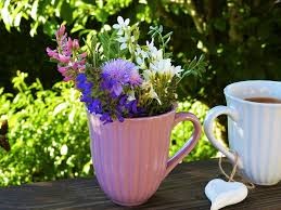 holiday gift ideas flowers growing in a mug