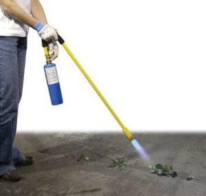 Mini Dragon weed killing torch